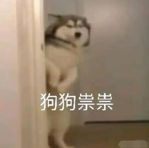  剑网三玩家打jjc被她爸误以为是指挥网友你这么有出息的吗