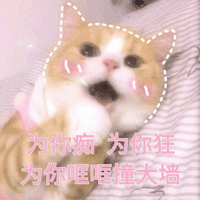  这么好看的连衣裙你竟然还没有这4条谁穿谁显瘦