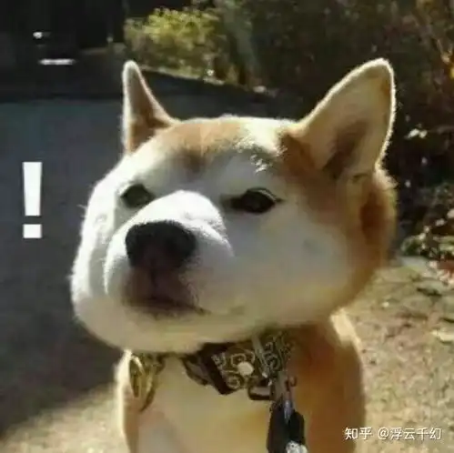  在陌陌soul这样的软件上能找到对象吗