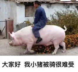 我小猪被骑很难受搞笑表情包近期热门表情包合集