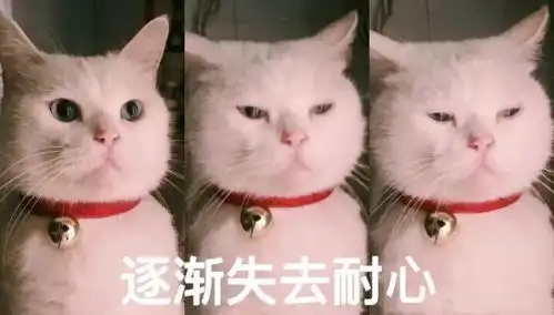  小岛君热点微信又有了新功能网友们的评论却让人笑疯