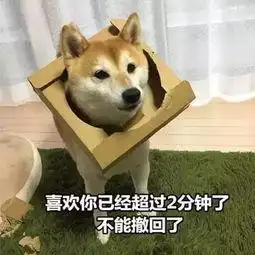  狗狗会做这些事,很明显它们爱上你了