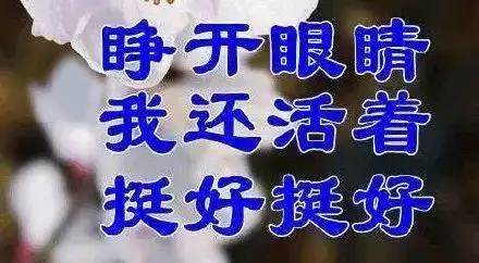  最全佛系表情包,看完之后,我的内心只有peacelove