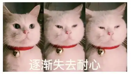  多保鱼和小帮保险可靠吗哪家更推荐全面分析
