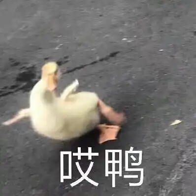  为什么我喜欢阿丽塔