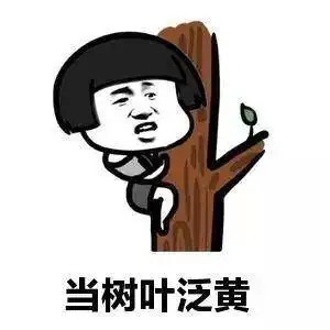  开心一笑去买肉,不知道哪块肉好,就让卖肉的大叔给俺推荐一块