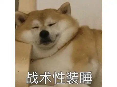  超惨烈的中德大战中国玩家玩得太猛,逼的德军用上玉石俱焚战术