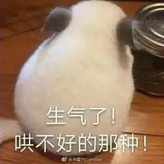  大快人心男子街头狠摔共享单车,结果被拘了