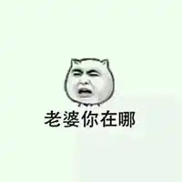 老婆表情包图片可爱妻奴