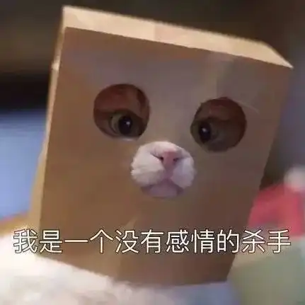  可爱沙雕表情包宝贝,没有过程的感情,是没有结果的