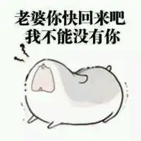  老婆你别走我需要你图片表情包