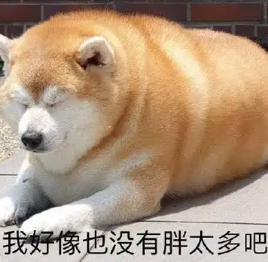  当代大学生熬夜者联盟,看什么看说的就是你