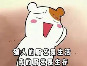  怎么形容你的厨艺萌化了老夫的少女心