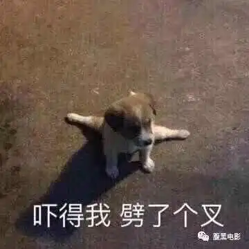 微信胖多拉表情包说服自
