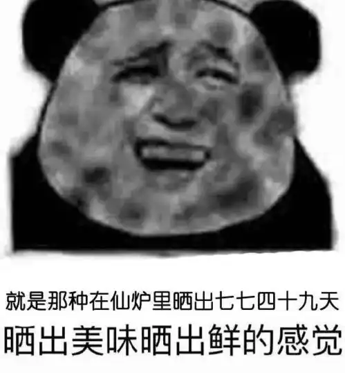  春风十里,不如军训