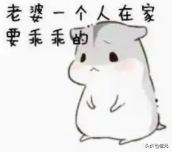 抓贼的表情包求生欲