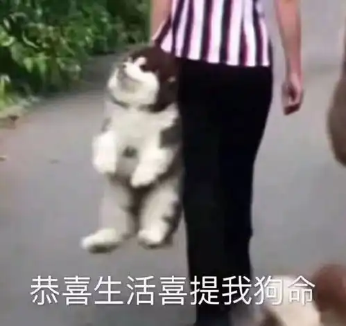  2020年马鞍山第一批穷人名单新鲜出炉看哭了