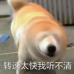  魔性狗子表情包全属精品
