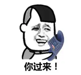  zz大小姐微信qq聊天专用表情包