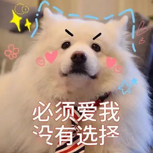  可爱沙雕微信表情包你要去洗澡去吧去吧