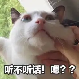  猫咪威胁表情包你说完了没有