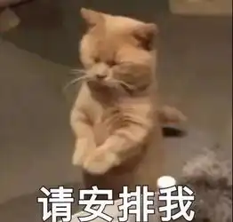  权益周报行李箱的正确打开方式