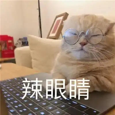  无标题
