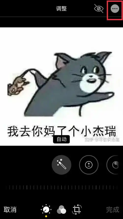  苹果手机给表情包去水印