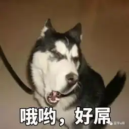  这些令人拍案叫绝的句子是什么翻译出来的...