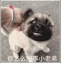  为什么说丝绸之路是沟通东西方文化的桥梁