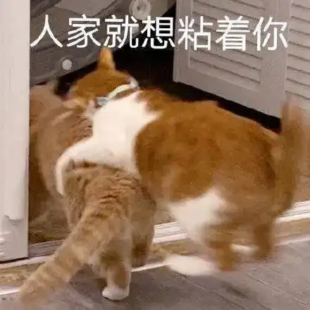  有生见螺状元fans取名大赛正式开启