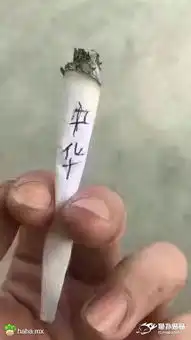  简直无法直视.gif