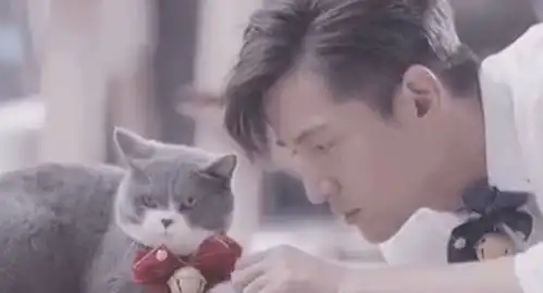  胡歌扮16岁橘猫的造型曝光动作表情好萌,演得太像被赞人猫合一