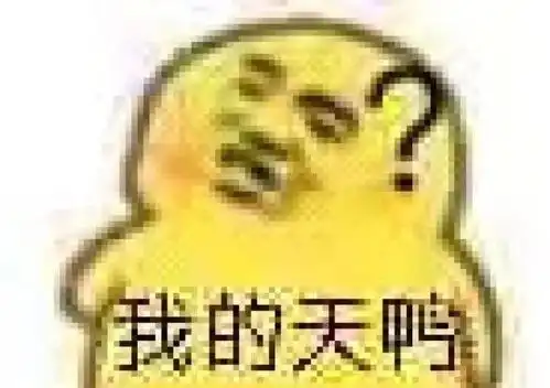 币哥表情包说话