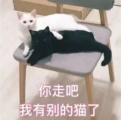  你有什么套路男朋友的表情包嘛