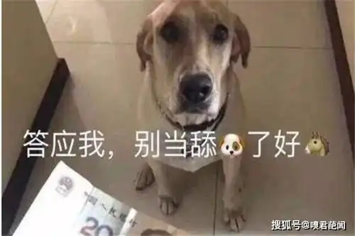 打狗狗表情包滑稽