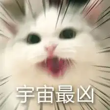  猫咪表情包,已完结堆糖,美好生活研究所超可爱猫咪表情包
