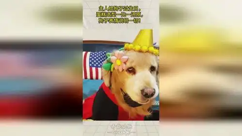  主人给狗子过生日,蛋糕造型一比一还原,狗子表情说明一切