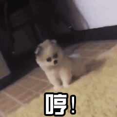 狗狗生气表情包gif