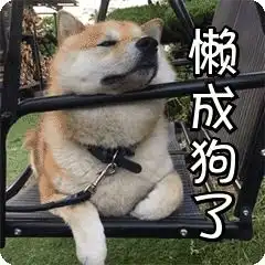  javase四流程控制语句