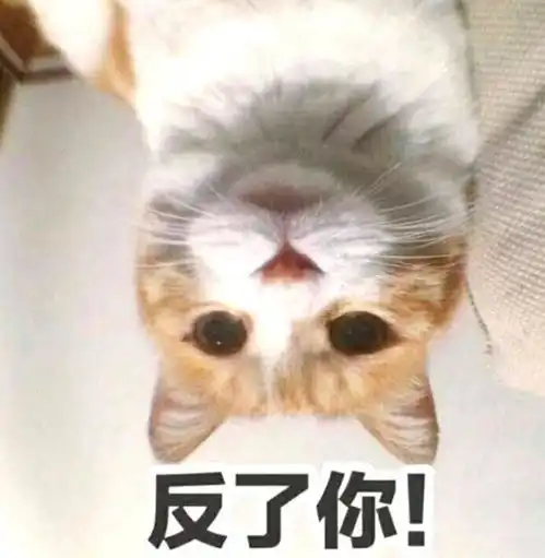  女子下班刚到家,猫咪就在门口大骂,她仔细一想瞬间不淡定了