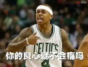  你的表情包需要跟新了这些nba的表情包拿去怼吧
