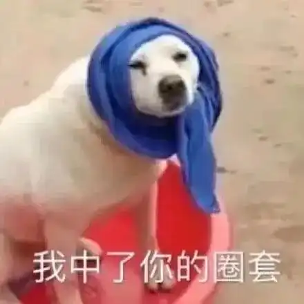  唐艺昕官宣怀孕,除了肚子哪都没胖,孕期只胖肚是女明星特权