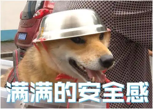  多地推出共享头盔服务,关于头盔材质,你了解多少呢