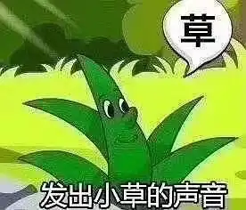  把张铭恩心机屌打在公屏上