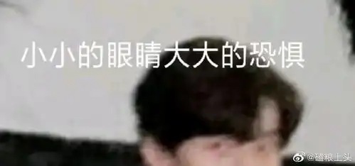  这算羞辱人的表情包吗