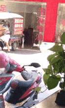  爆笑gif图妹子,你这个表情是几个意思能不能解释一下