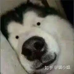  面部削骨能让一个人有多大变化