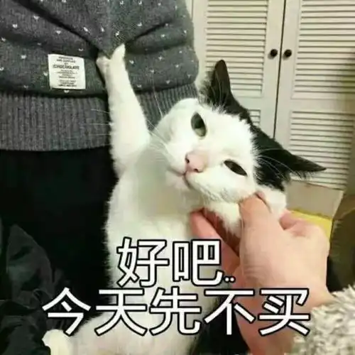 开银趴不叫我表情包微信