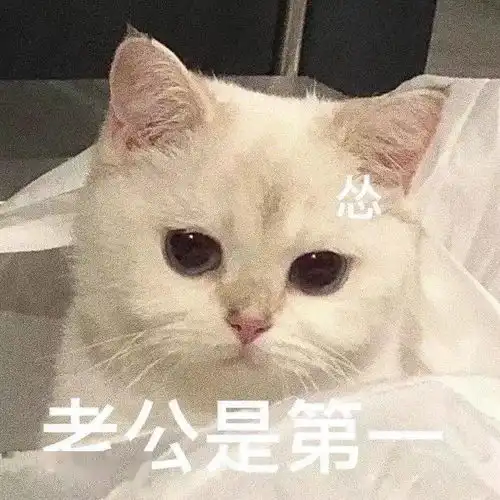  可爱聊天表情包